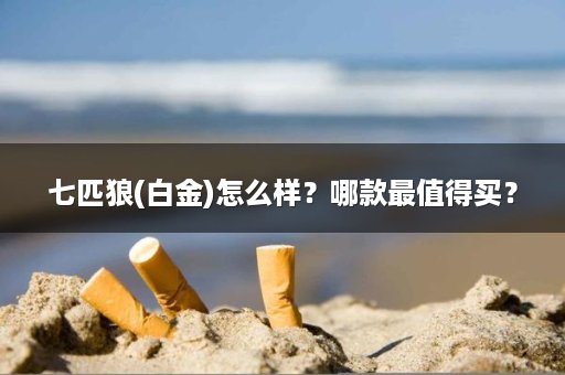 七匹狼(白金)怎么样？哪款最值得买？